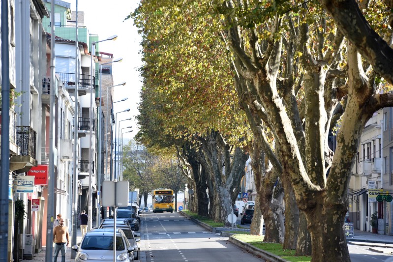 AVISO | Intervenção na Av. 25 de Abril