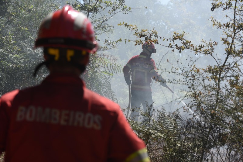 Declaração da Situação de Alerta