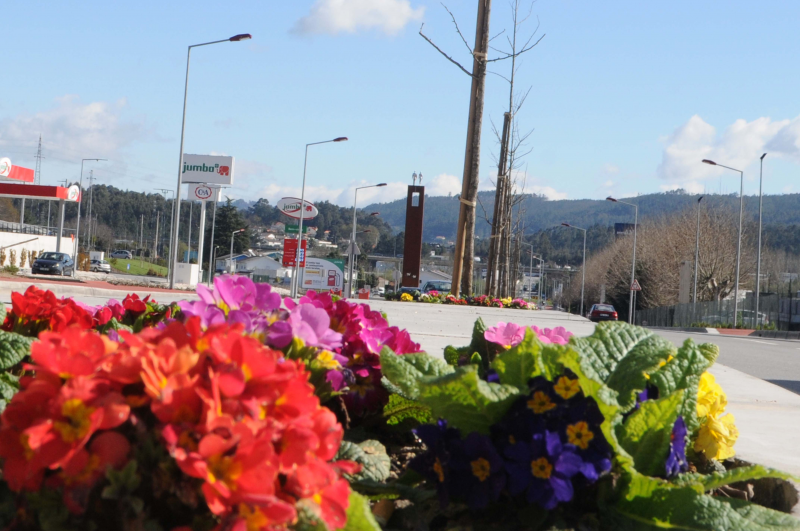 Circulação automóvel interdita na Avenida do Brasil